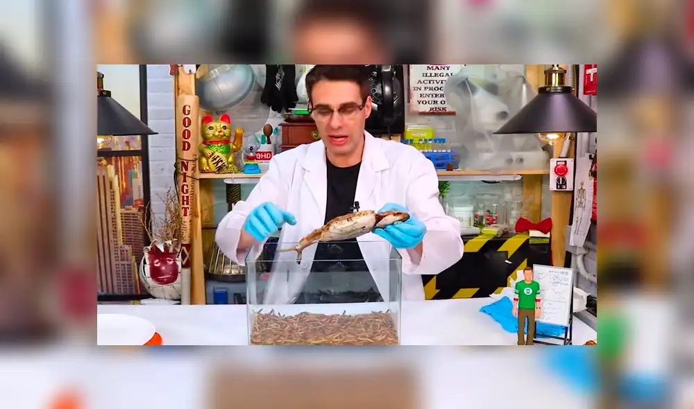 YouTube viral: Arroja pescado a recipiente lleno de gusanos carnívoros y esto sucede [VIDEO]