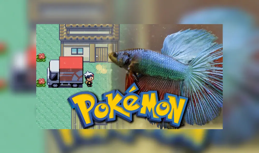 Desliza para ver los detalles del video viral publicado en YouTube. Foto: Captura.