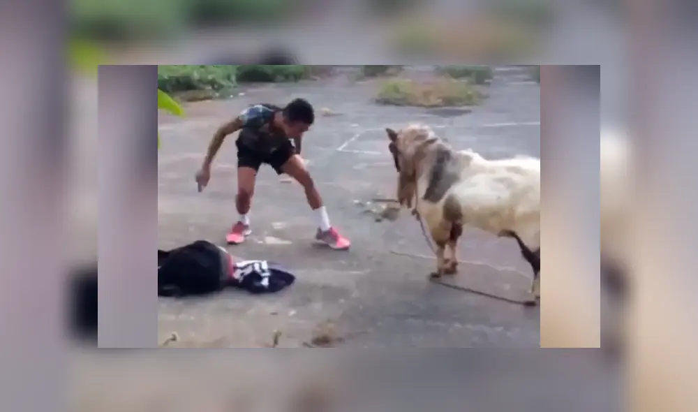 Los niños y jóvenes que fueron testigos del hecho se rieron al ver el enfrentamiento.