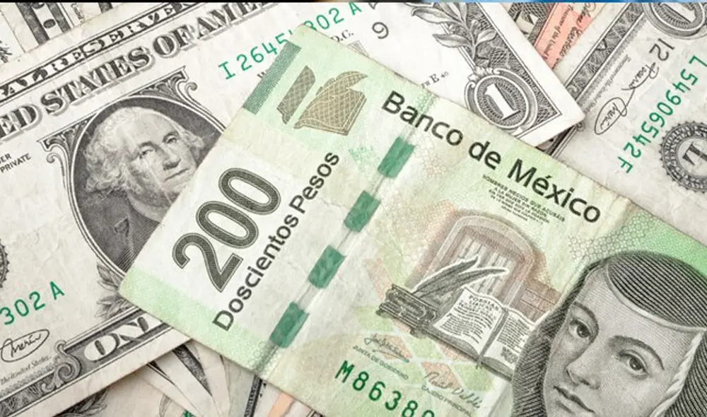 Precio del dólar en México hoy, sábado 15 de febrero de 2020. (Foto: El Financiero) Precio del dólar en México hoy, sábado 15 de febrero de 2020. (Foto: El Financiero)