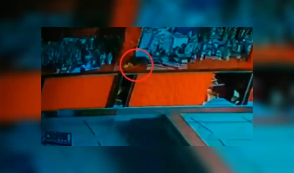 Facebook viral: rata 'ladrona' se instala en lujosa tienda de joyería y se lleva diamantes [VIDEO]