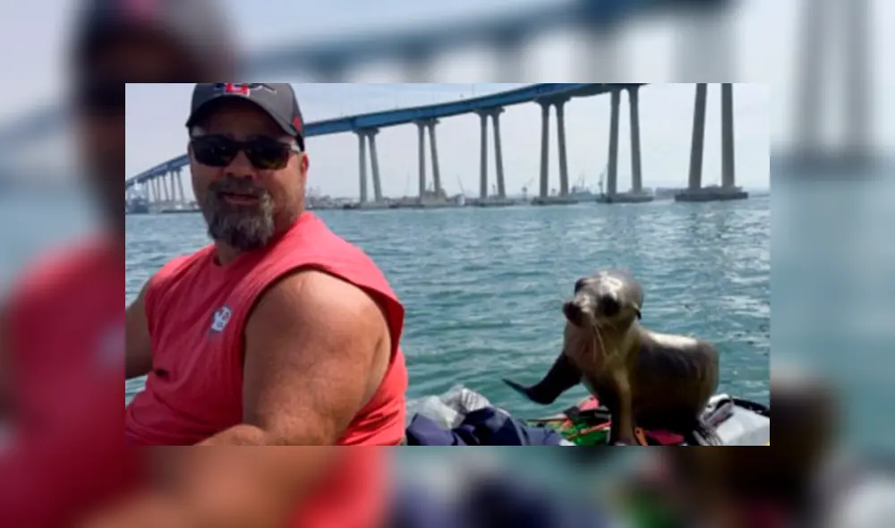 Pescador fue sorprendido por adorable animal marino que no quiso despejarse de él.