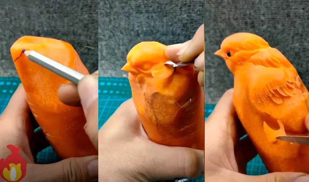Desliza las imágenes para ver el resultado de esta increíble escultura que hizo un joven artista en una zanahoria. Foto: captura de TikTok/decompression3 Desliza las imágenes para ver el resultado de esta increíble escultura que hizo un joven artista en una zanahoria. Foto: captura de TikTok/decompression3