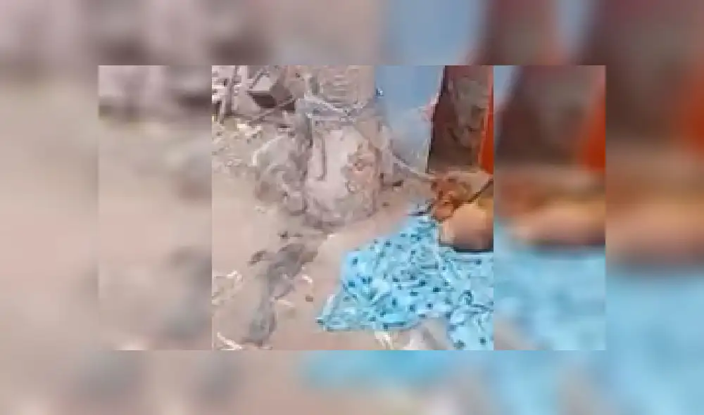 Indignación por mascota encadenada a árbol en VMT [VIDEO]