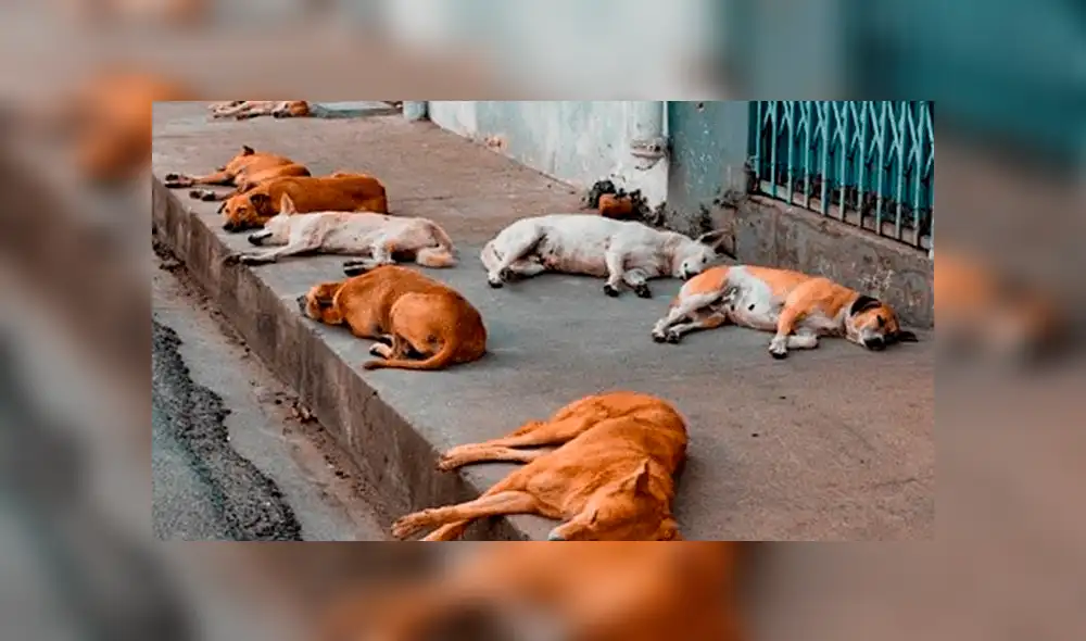 Desliza la imagen para ver la obra que realizaron las mujeres. Fotos: captura/Facebook