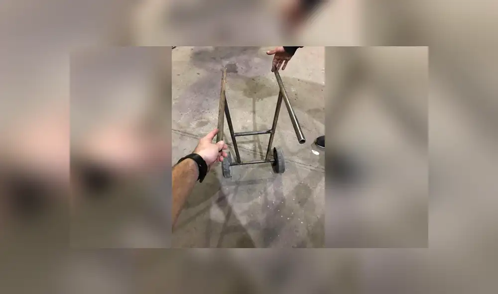 Desliza las imágenes hacia la izquierda para conocer la noble labor de unos jóvenes para salvar a un perro callejero.