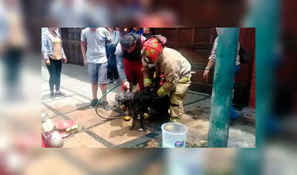 la Molina: vecinos reportan incendio dentro de vivienda la Molina: vecinos reportan incendio dentro de vivienda