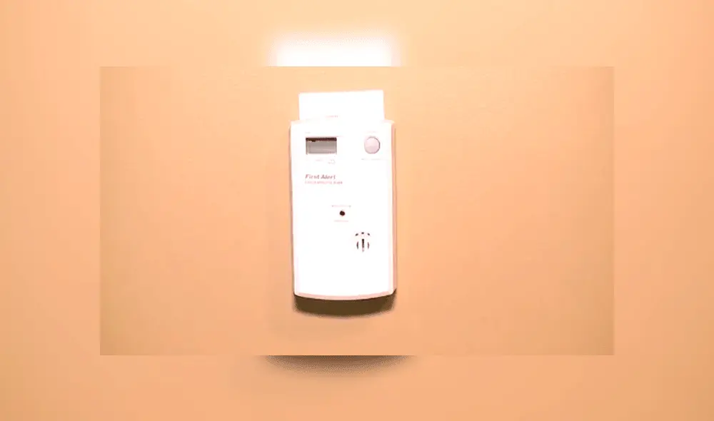 Perro salvó a su familia al detectar la filtración de un gas tóxico Perro salvó a su familia al detectar la filtración de un gas tóxico