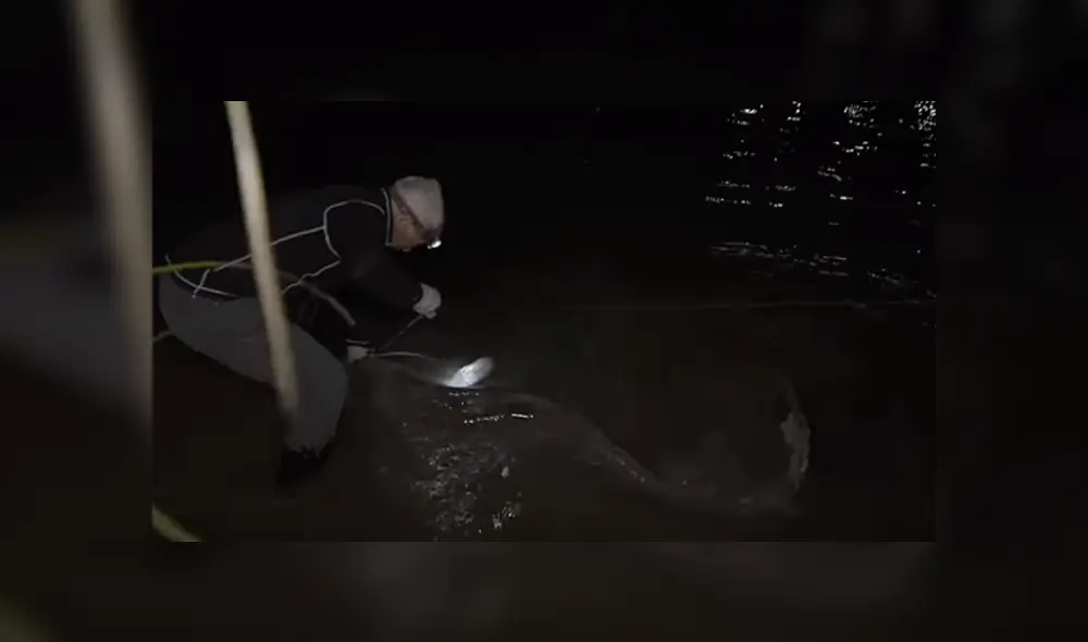 Desliza hacia la izquierda para ver al gigantesco pez que se volvió viral en YouTube. Desliza hacia la izquierda para ver al gigantesco pez que se volvió viral en YouTube.