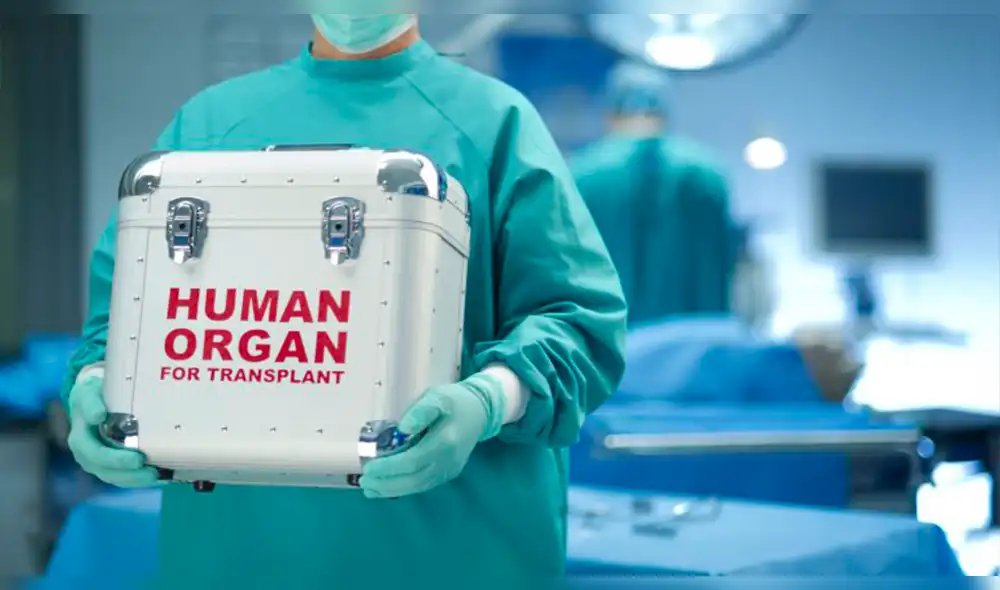 Holanda: aprueban ley para que sus ciudadanos sean donantes de órganos