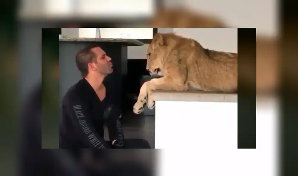 El protagonista del video viral de Facebook colocó su mano en las fauces de una leona arriesgando su vida.