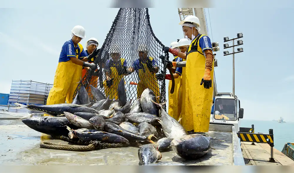 Industria atunera invirtió más de US$ 60 millones 