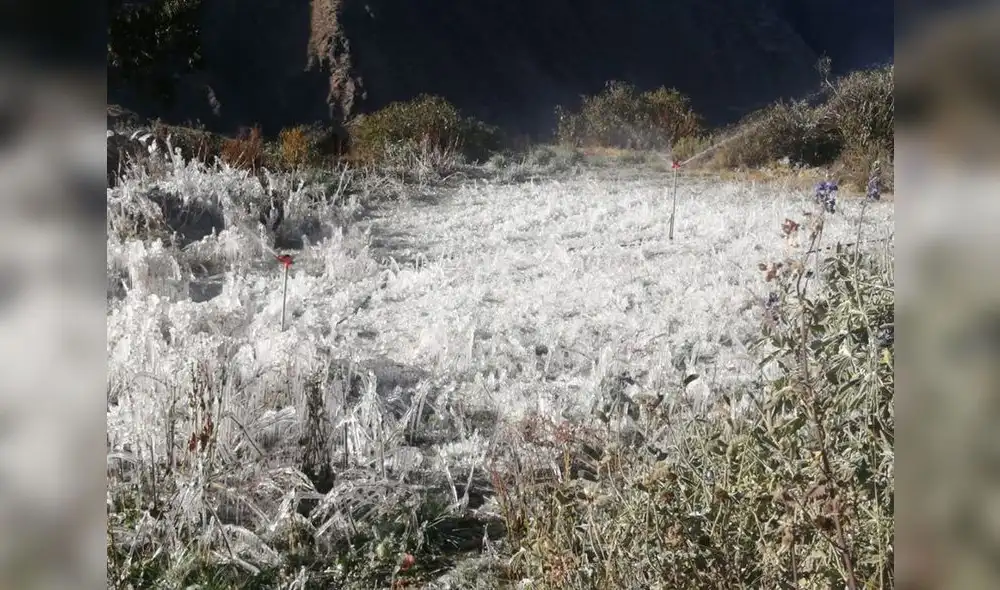 Áncash reporta 18 heladas en lo que va del 2020
