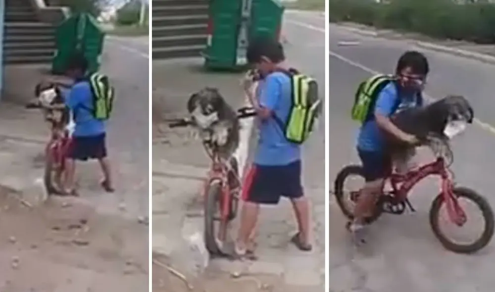Las imágenes del niño poniéndose mascarilla y a su perro han dado la vuelta al mundo. Foto: Captura/Facebook/San Bartolomé Pinillo Las imágenes del niño poniéndose mascarilla y a su perro han dado la vuelta al mundo. Foto: Captura/Facebook/San Bartolomé Pinillo