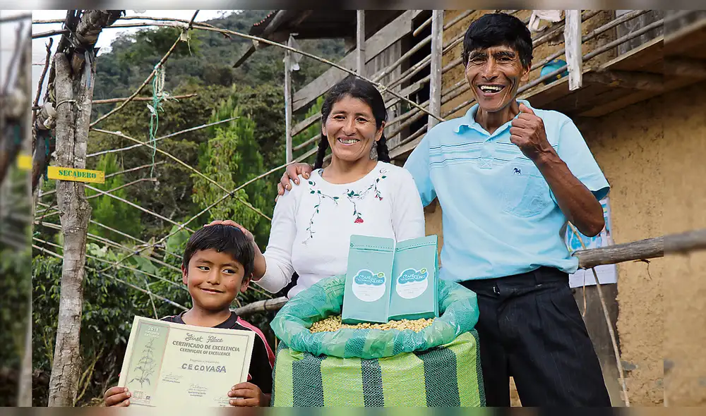 El mejor café del mundo crece “en las nubes” de Puno