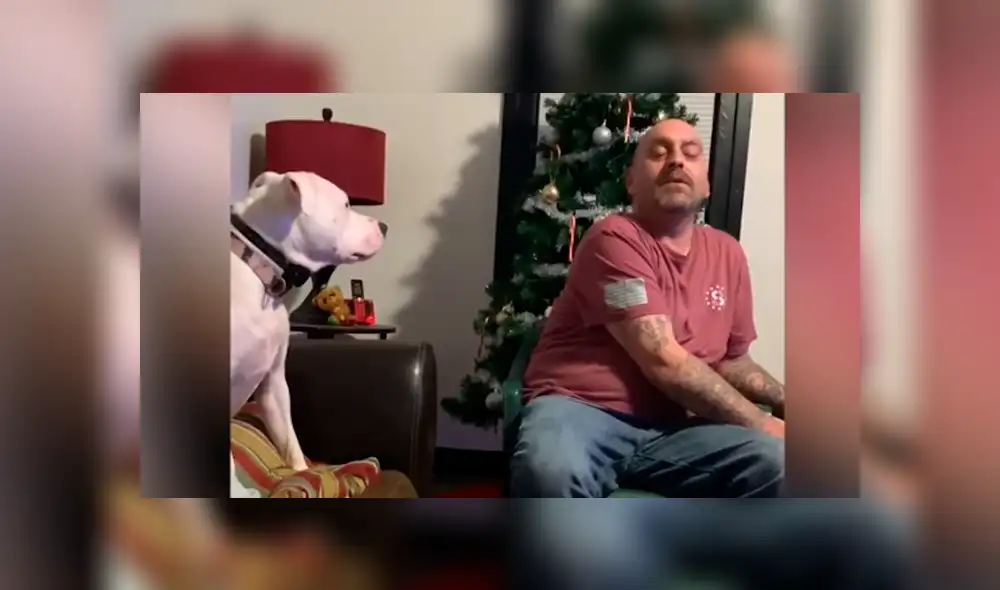 Desliza hacia la izquierda para ver la divertida reacción del perro que es 'famoso' en Facebook. Desliza hacia la izquierda para ver la divertida reacción del perro que es 'famoso' en Facebook.