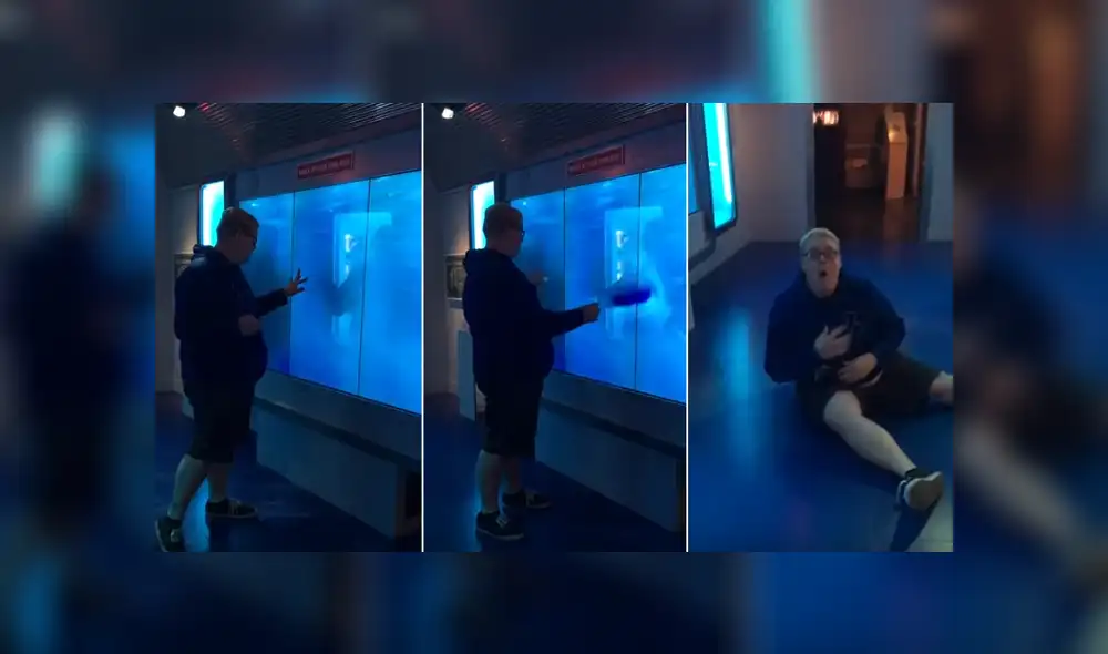 YouTube: quiso llamar la atención de un ‘tiburón’ y se llevó el susto de su vida [VIDEO]