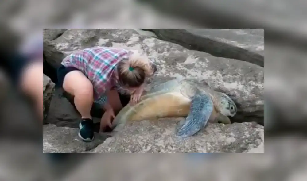 Jóvenes encuentran misteriosa criatura atrapada entre las rocas.