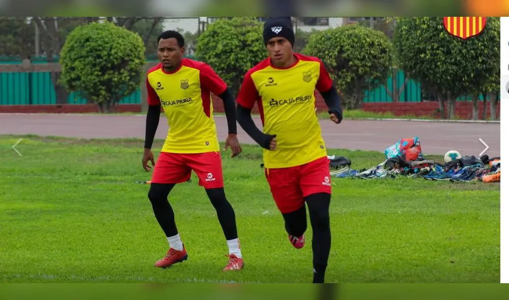 Albos buscarán refuerzos con nuevo integrante del equipo.
