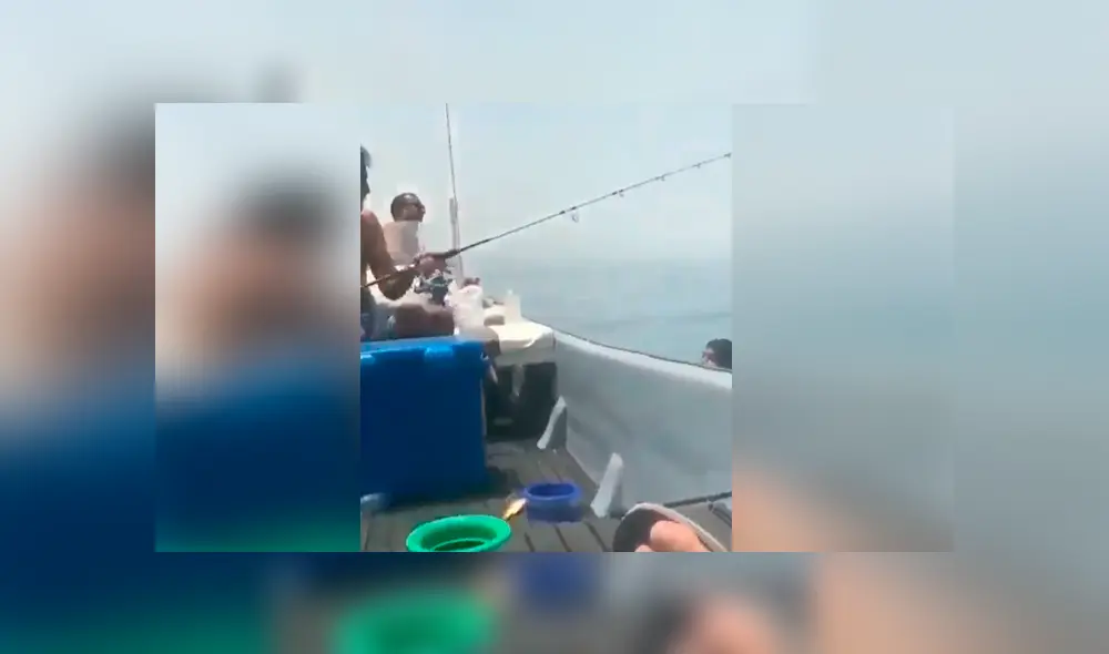 Un video muestra el instante en el que un joven se lleva el susto de su vida al ver un desconcertante ser en el agua. Un video muestra el instante en el que un joven se lleva el susto de su vida al ver un desconcertante ser en el agua.