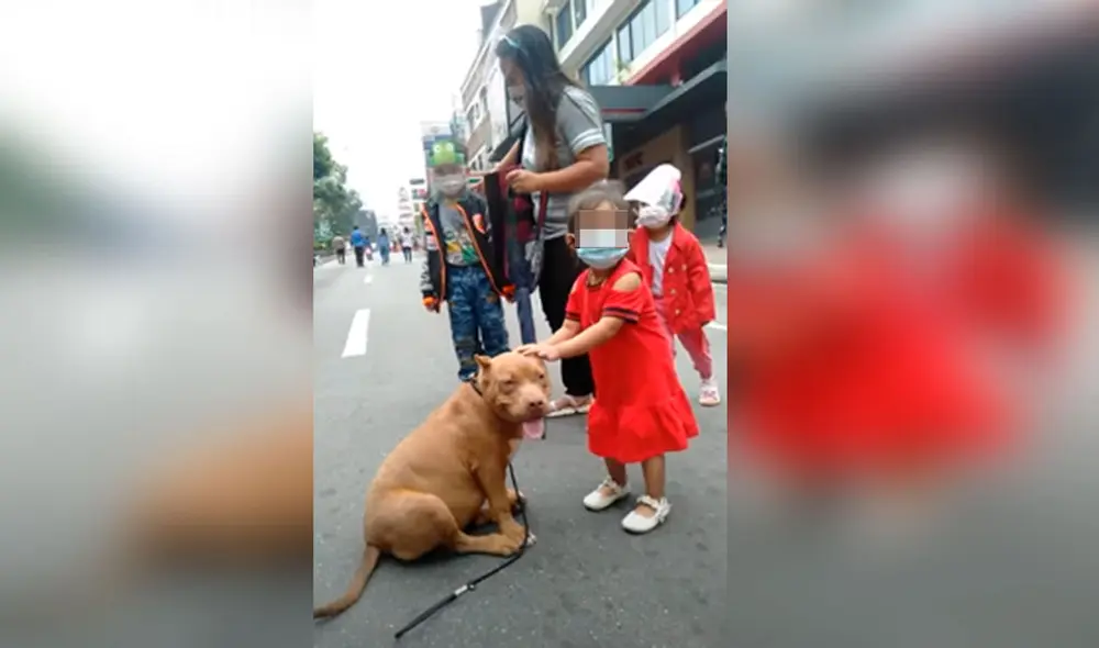 Desliza las imágenes para ver la tierna escena que protagonizó una pequeña al abrazar a un perro que conoció en la calle. Foto: captura de YouTube