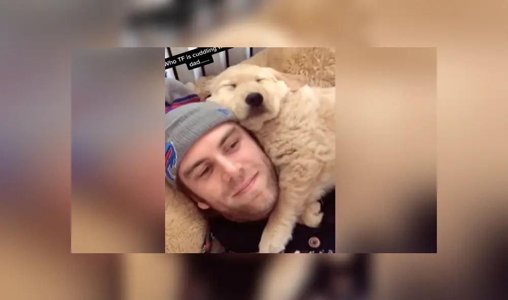 Mediante TikTok se hizo viral el momento en que un perro se pone celoso al ver a su dueño con otro can. Mediante TikTok se hizo viral el momento en que un perro se pone celoso al ver a su dueño con otro can.