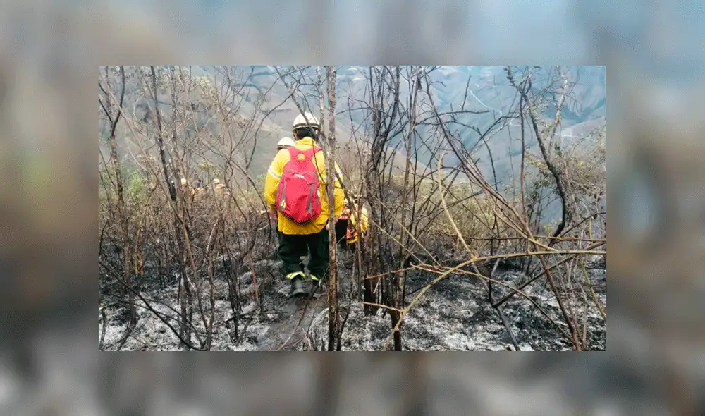 Tragedia en Amazonas: los últimos incendios forestales en Sudamérica [FOTOS Y VIDEOS]