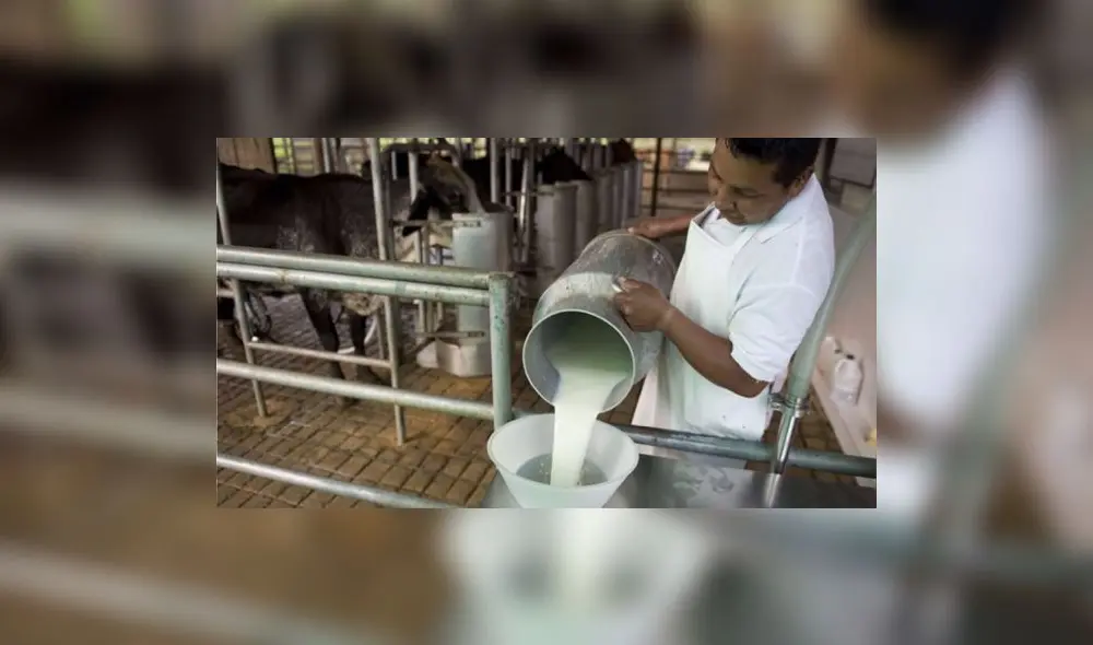 Indecopi publicará la próxima semana informe preliminar sobre el sector lácteo en el Perú