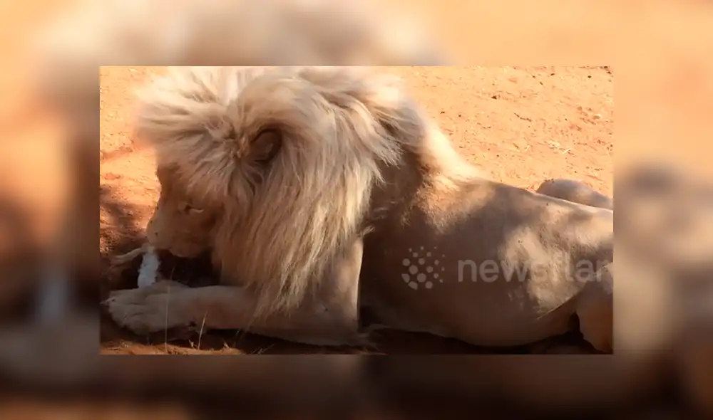 Desliza hacia la izquierda para ver las imágenes del viral de YouTube. Foto: Captura.