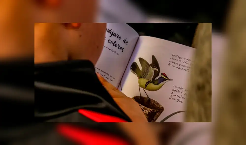 Plan lector en México Plan lector en México