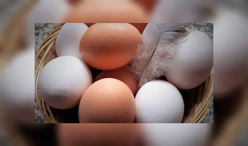 ¿Qué pasa si me como un huevo pasado? Foto: web 'Publicdomainpicture'.