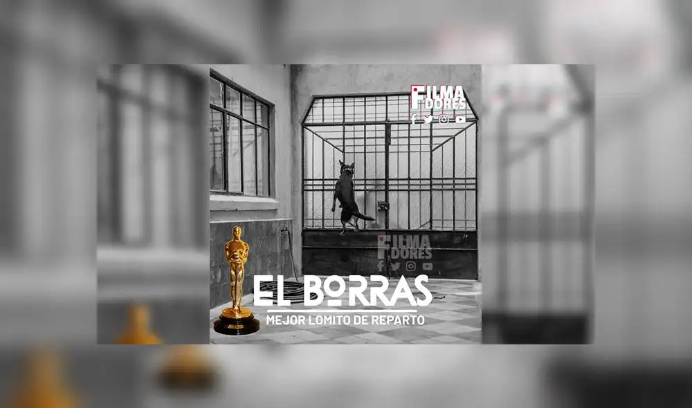 Los más hilarantes memes tras conocerse los nominados a los Oscar 2019 Los más hilarantes memes tras conocerse los nominados a los Oscar 2019