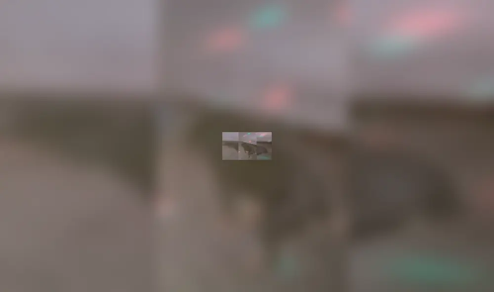 Facebook viral: Perro es sorprendido bailando reggaetón en plena fiesta y su estilo sorprende [VIDEO]