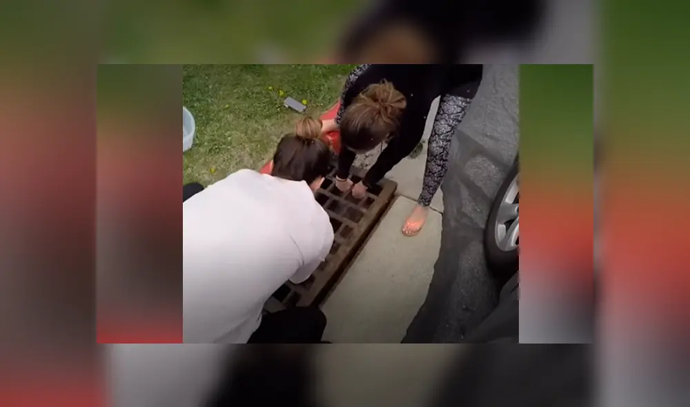 Desliza hacia la izquierda para ver el conmovedor rescate que se volvió viral en Facebook. Desliza hacia la izquierda para ver el conmovedor rescate que se volvió viral en Facebook.