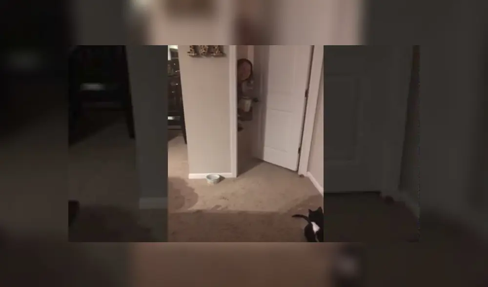 Desliza para ver los detalles del video viral publicado en YouTube. Foto: Captura. Desliza para ver los detalles del video viral publicado en YouTube. Foto: Captura.