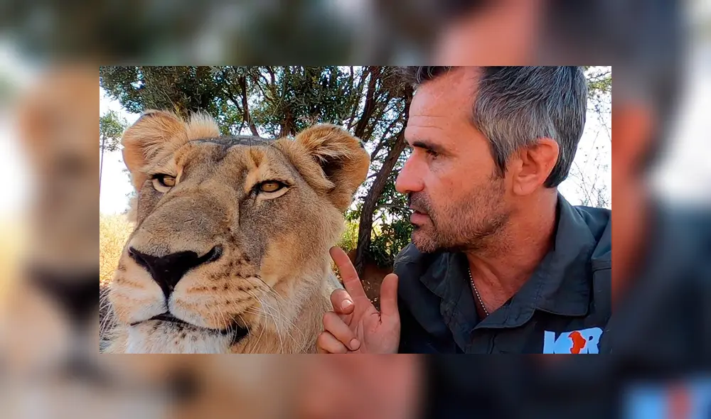 Desliza hacia la izquierda para ver las imágenes del viral de la leona con su cuidador. Imágenes del video de Youtube.