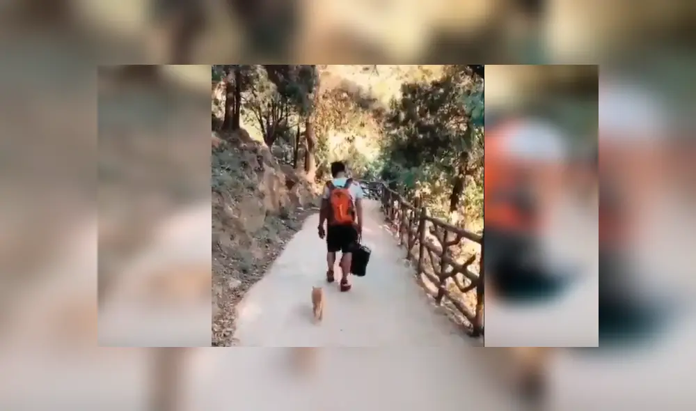 El felino persiguió a su amo e intentó retenerlo con una peculiar conducta que se ha hecho viral en YouTube El felino persiguió a su amo e intentó retenerlo con una peculiar conducta que se ha hecho viral en YouTube