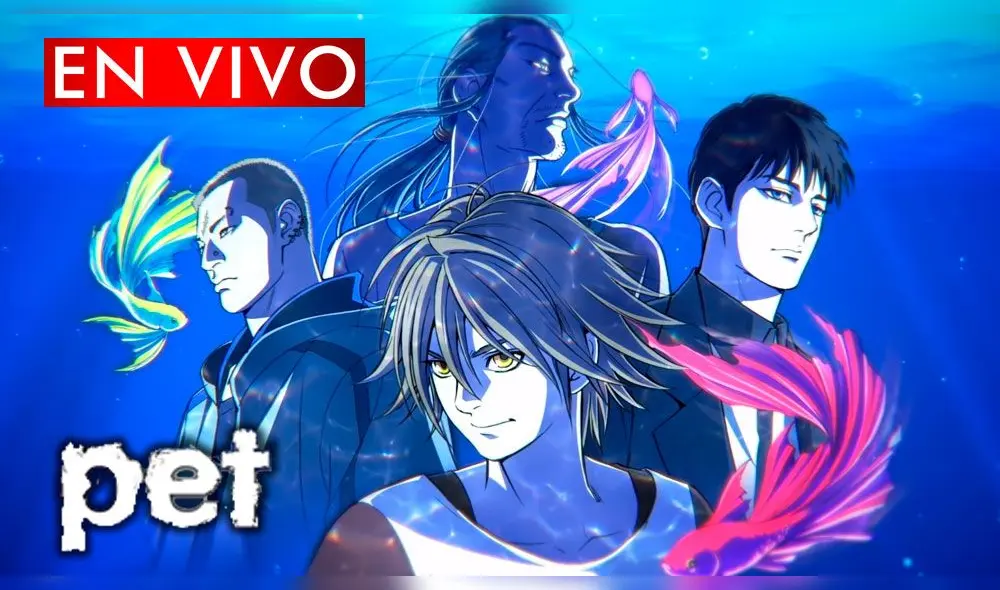 Pet capítulo 1 EN VIVO. Créditos: Composición
