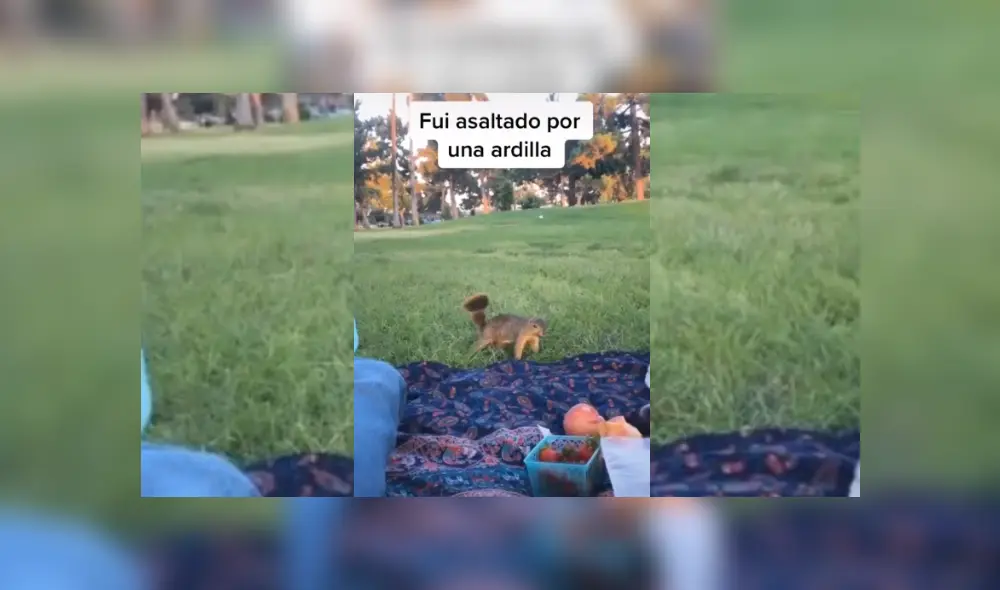 Desliza hacia la izquierda para ver más del video viral. Desliza hacia la izquierda para ver más del video viral.