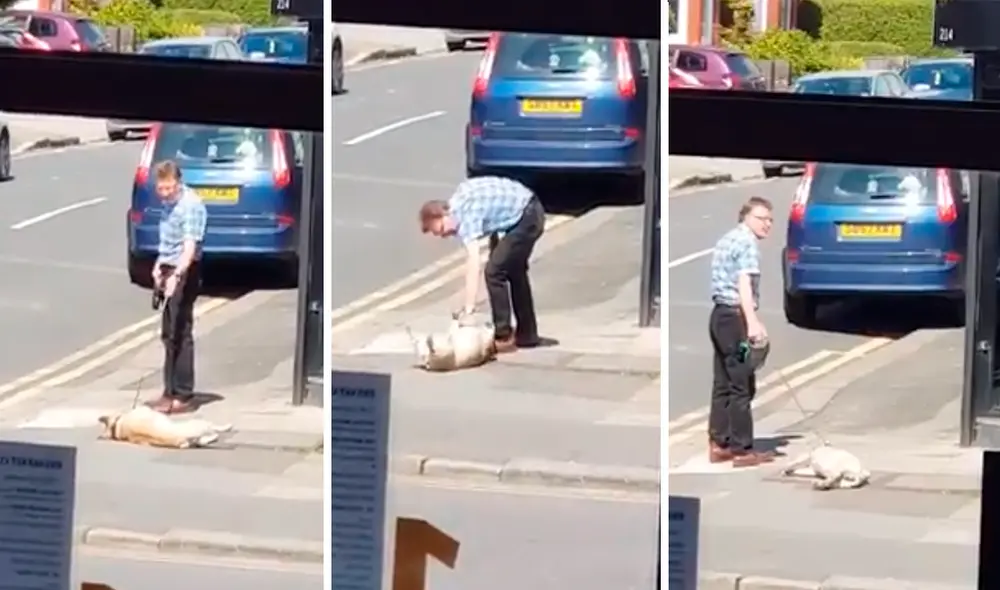 En Facebook, un joven captó el preciso instante que un perro hizo una rabieta a su dueño en la calle, pero no logró su objetivo.