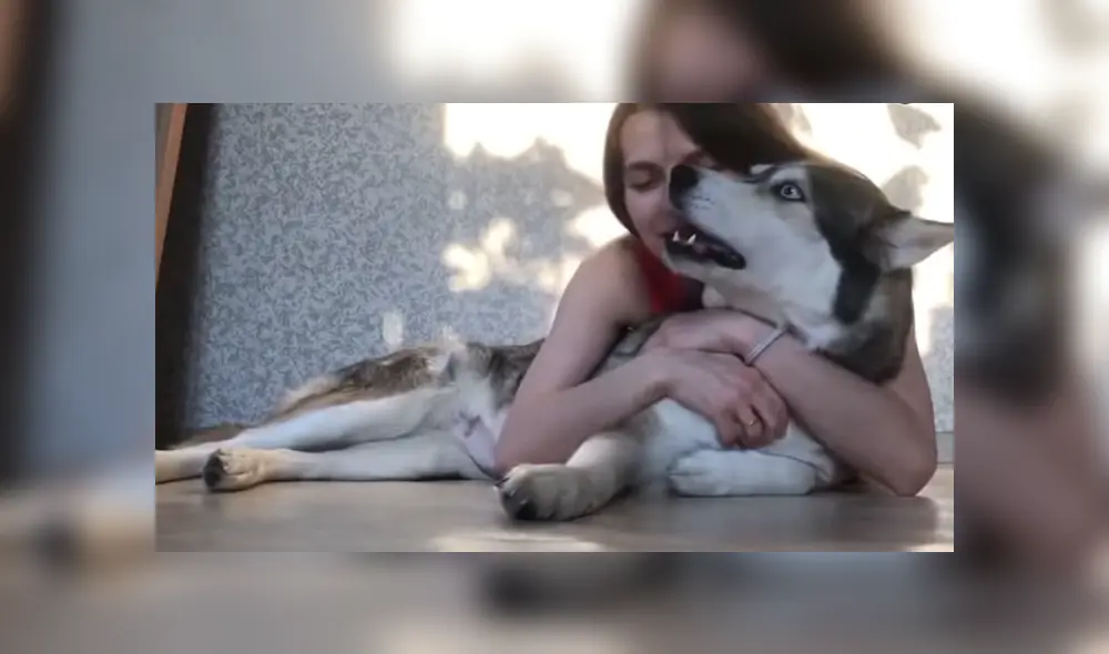 A través de Facebook se volvió viral la hilarante reacción de un perro al ser abrazado por su dueña. A través de Facebook se volvió viral la hilarante reacción de un perro al ser abrazado por su dueña.