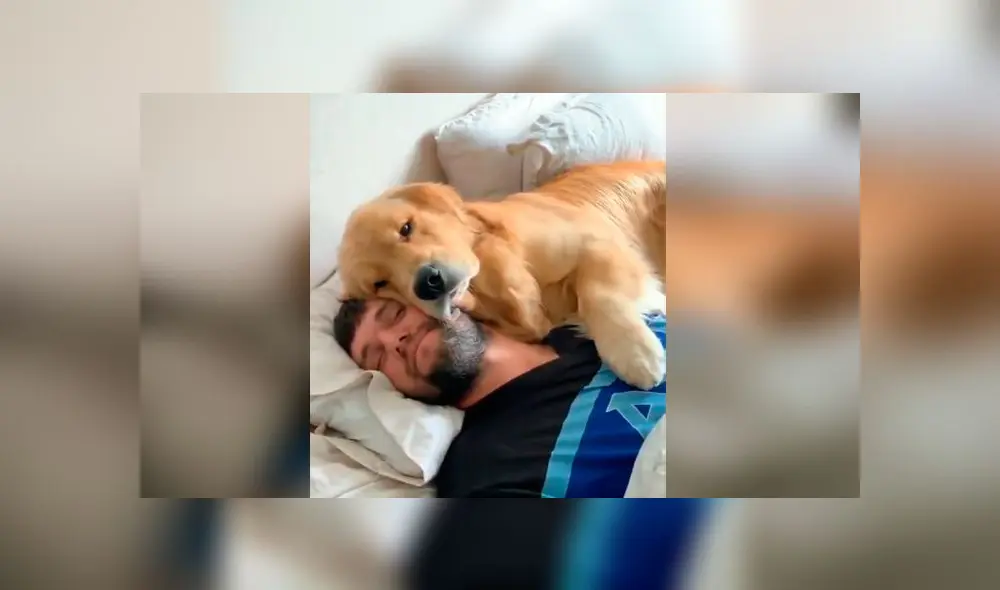 Desliza las fotografías para ver la cautivadora escena que protagonizó la mascota de una joven con su novio. Foto: Captura/Facebook Desliza las fotografías para ver la cautivadora escena que protagonizó la mascota de una joven con su novio. Foto: Captura/Facebook