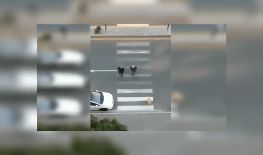 En YouTube, un señor se percató de la presencia de un perro callejero y lo ayudó para que cruce la pista. En YouTube, un señor se percató de la presencia de un perro callejero y lo ayudó para que cruce la pista.