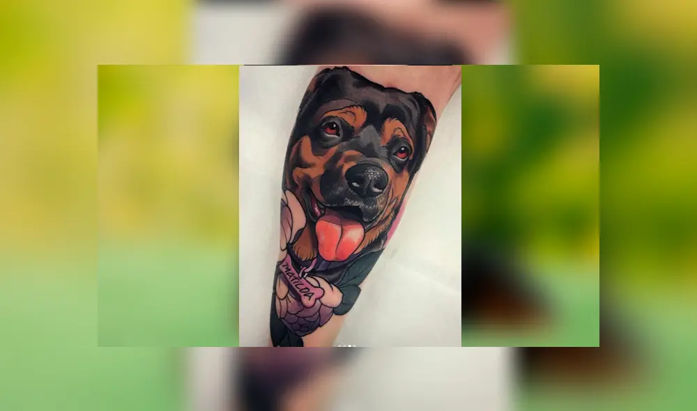Desliza las fotografías para ver el increíble tatuaje que se hizo un joven en honor a su difunta mascota. Foto: Captura/ goksisdead