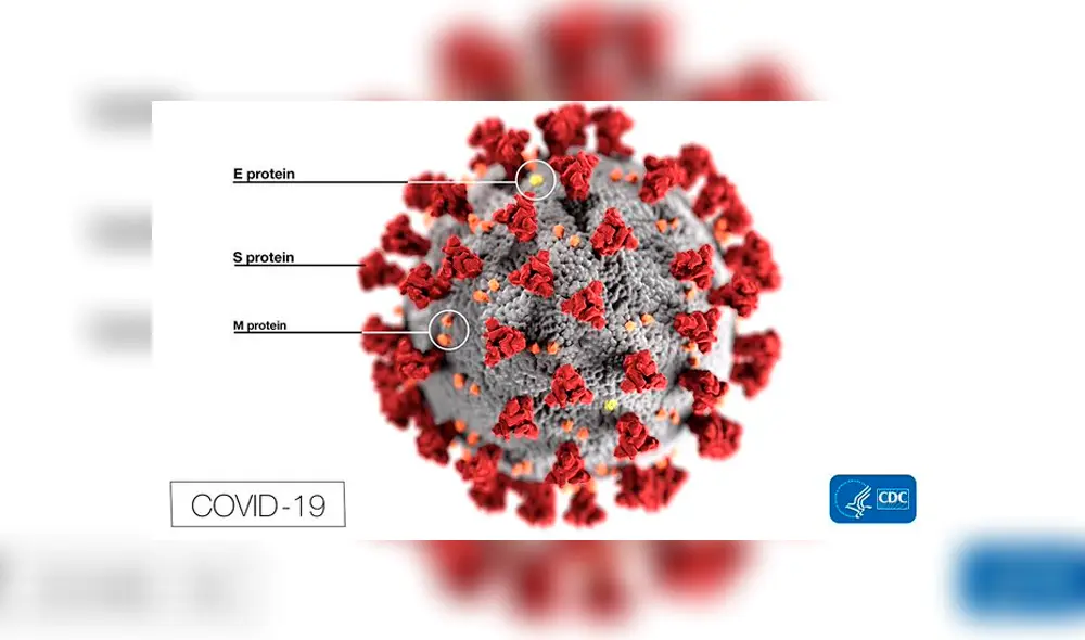 Desarrolladores de Foldit piden ayuda a sus 200 000 usuarios para hallar la cura al coronavirus. Desarrolladores de Foldit piden ayuda a sus 200 000 usuarios para hallar la cura al coronavirus.