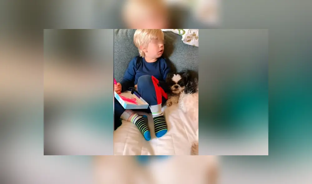 Desliza las imágenes para ver la emotiva escena que logró descubrir esta madre entre su hijo y sus mascotas. Foto: Captura/Rumble Viral Desliza las imágenes para ver la emotiva escena que logró descubrir esta madre entre su hijo y sus mascotas. Foto: Captura/Rumble Viral