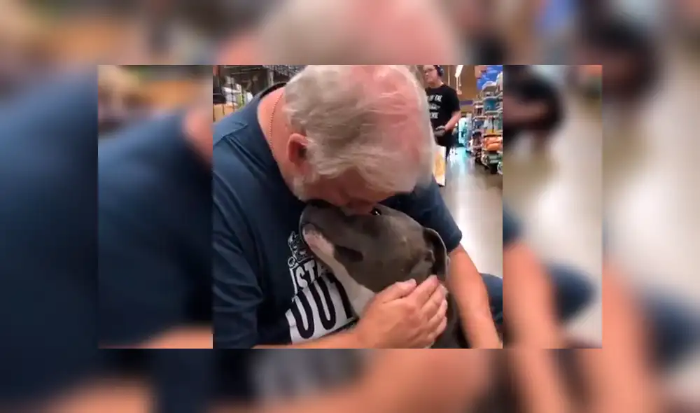 En Facebook, un señor acudió a un albergue de animales para adoptar a un perro y no imaginó la reacción que tendría.