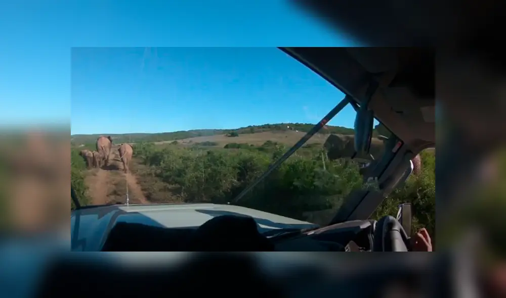 Desliza hacia la izquierda para ver las imágenes del safari que se volvió viral en YouTube. Desliza hacia la izquierda para ver las imágenes del safari que se volvió viral en YouTube.