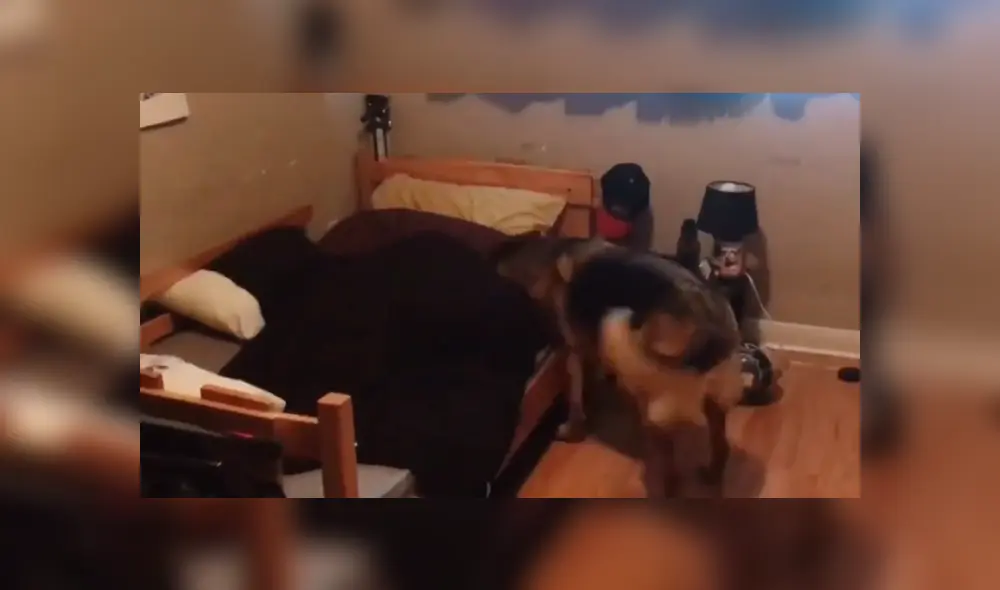 Desliza para ver los momentos más divertidos del momento viral de YouTube.