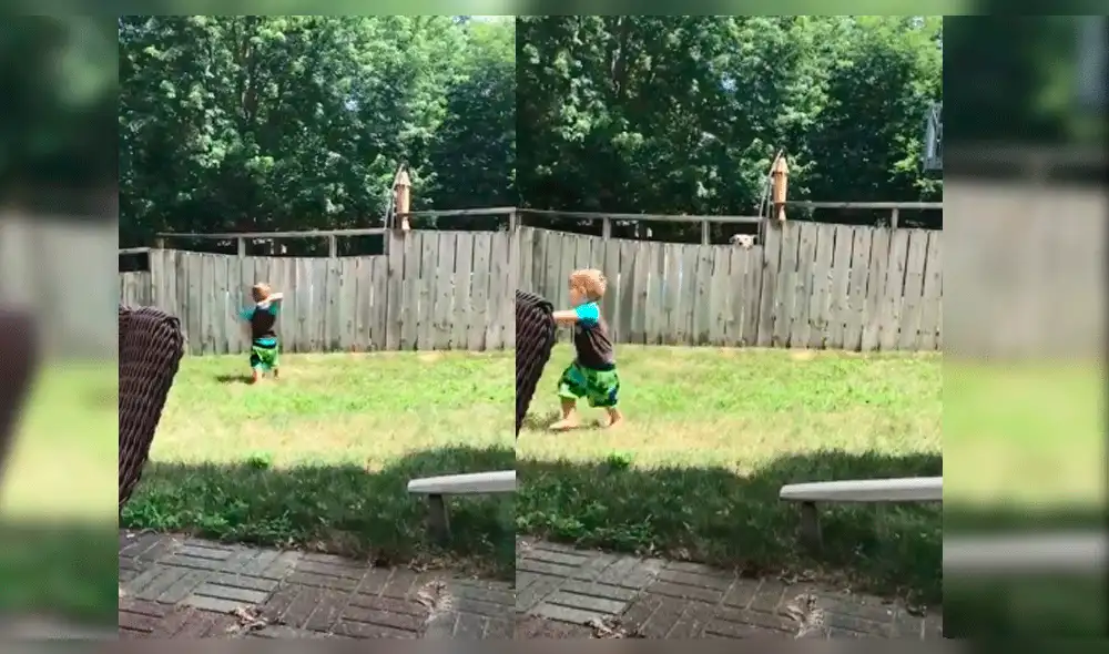 YouTube: El juego entre un niño y un perro demuestra que la amistad no tiene barreras [VIDEO]